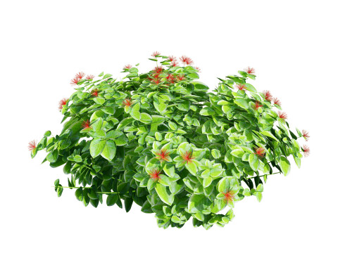 High-Detail Outdoor Plant Collection 3D 모델