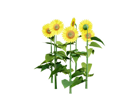 High-Detail Outdoor Plant Collection 3D 모델