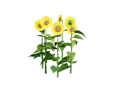 High-Detail Outdoor Plant Collection 3D Model