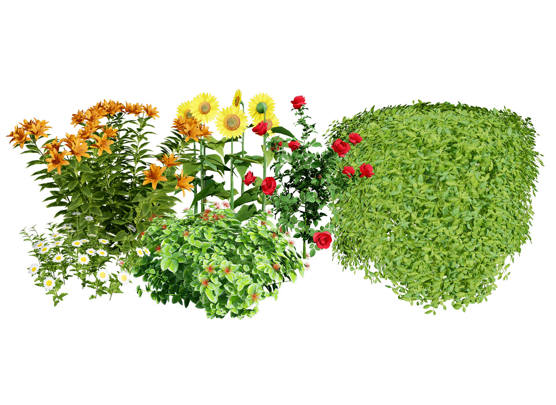 High-Detail Outdoor Plant Collection 3D Model .c4d .max .obj .3ds .fbx .stl .blend 