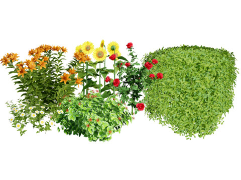 High-Detail Outdoor Plant Collection 3D Модель