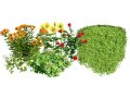 High-Detail Outdoor Plant Collection 3D 모델