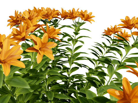 High-Detail Outdoor Plant Collection 3D 모델