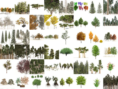 100 Highly Detailed Game ready Trees 3d collection 3D Model