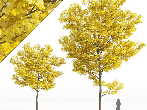 100 Highly Detailed Game ready Trees 3d collection Modello 3D