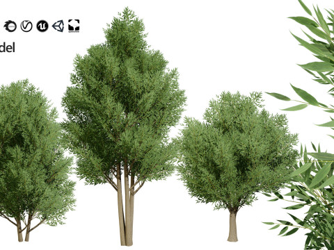 100 Highly Detailed Game ready Trees 3d collection Modello 3D
