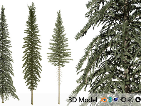 100 Highly Detailed Game ready Trees 3d collection Modello 3D