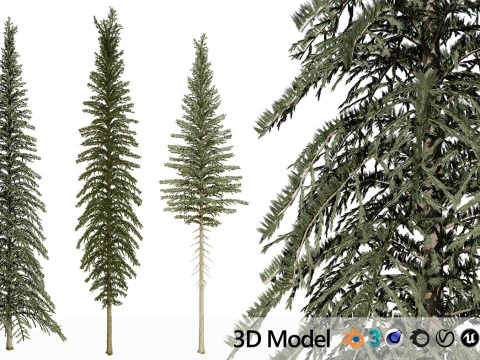 100 Highly Detailed Game ready Trees 3d collection 3D Model