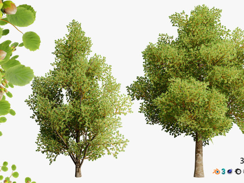 100 Highly Detailed Game ready Trees 3d collection Modello 3D