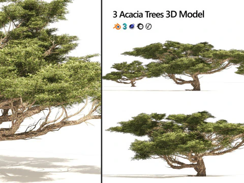 100 Highly Detailed Game ready Trees 3d collection 3D Model