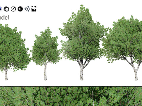 100 Highly Detailed Game ready Trees 3d collection Modello 3D