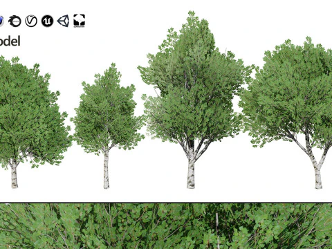 100 Highly Detailed Game ready Trees 3d collection 3D Model
