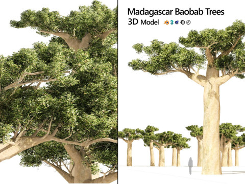 100 Highly Detailed Game ready Trees 3d collection Modello 3D