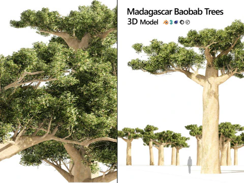 100 Highly Detailed Game ready Trees 3d collection 3D Model