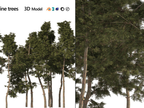 100 Highly Detailed Game ready Trees 3d collection Modello 3D