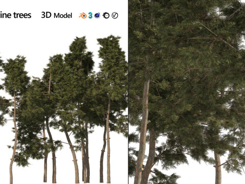 100 Highly Detailed Game ready Trees 3d collection 3D Model