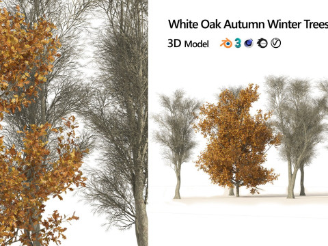 100 Highly Detailed Game ready Trees 3d collection Modello 3D