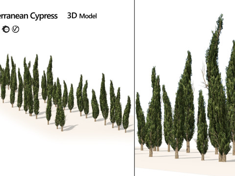 100 Highly Detailed Game ready Trees 3d collection Modello 3D
