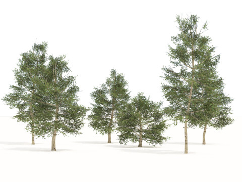 100 Highly Detailed Game ready Trees 3d collection Modello 3D