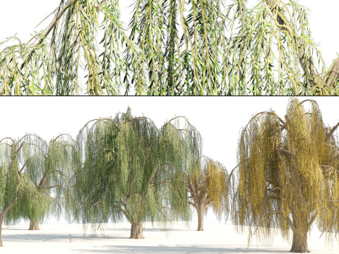 100 Highly Detailed Game ready Trees 3d collection Modello 3D