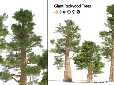 100 Highly Detailed Game ready Trees 3d collection Modello 3D