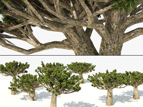 100 Highly Detailed Game ready Trees 3d collection Modello 3D