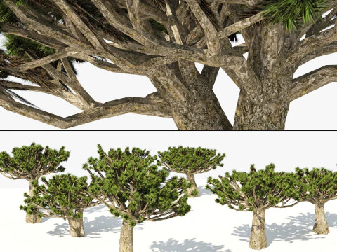 100 Highly Detailed Game ready Trees 3d collection 3D Model