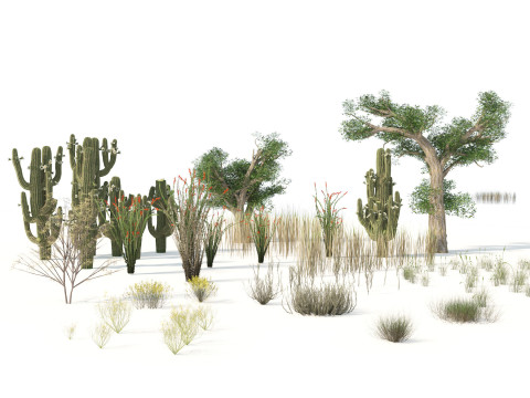 100 Highly Detailed Game ready Trees 3d collection Modello 3D