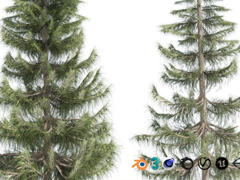 100 Highly Detailed Game ready Trees 3d collection Modello 3D