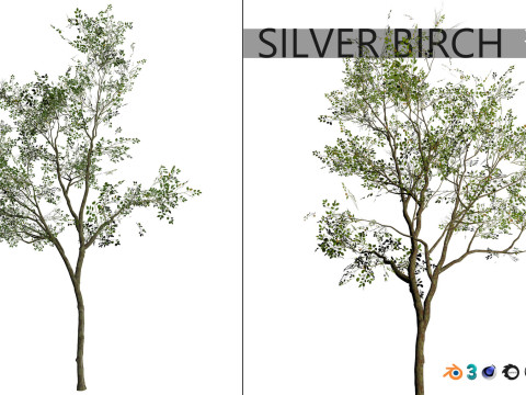 100 Highly Detailed Game ready Trees 3d collection Modello 3D