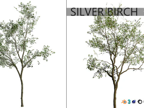 100 Highly Detailed Game ready Trees 3d collection 3D Model