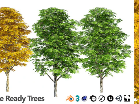100 Highly Detailed Game ready Trees 3d collection 3D Model