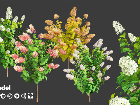 100 Highly Detailed Game ready Trees 3d collection Modello 3D