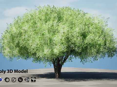 100 Highly Detailed Game ready Trees 3d collection Modello 3D
