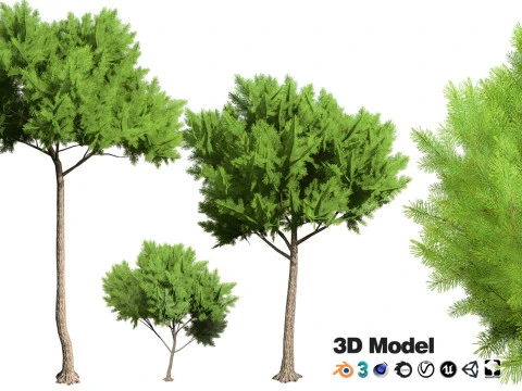 100 Highly Detailed Game ready Trees 3d collection 3D Model