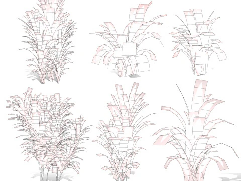 Hawaiian Ti Shrub 3D Model