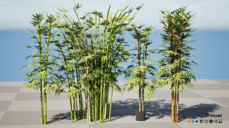 Realistic Bamboo Plants Model 3D .c4d .max .obj .3ds .fbx .stl .blend