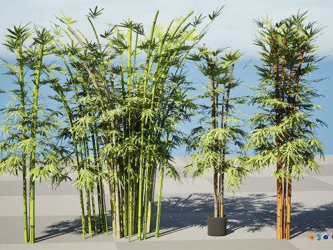 Realistic Bamboo Plants 3D Модель