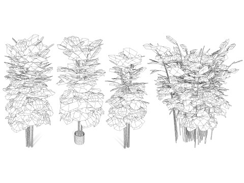 Realistic Bamboo Plants Model 3D