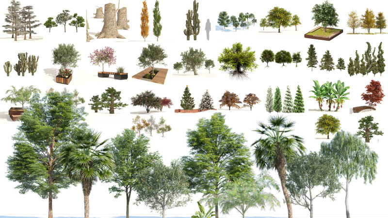 Medium Poly Trees for Realistic Environments 3Dモデル .c4d .max .obj .3ds .fbx .stl .blend 