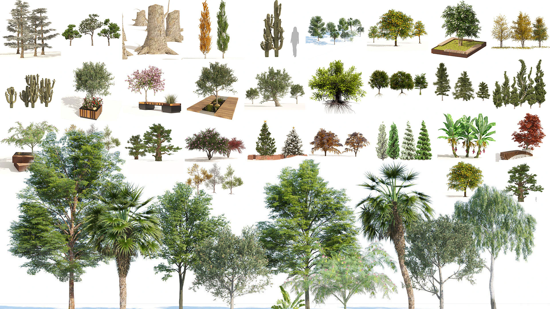 Medium Poly Trees for Realistic Environments 3D Model .c4d .max .obj .3ds .fbx .stl .blend 