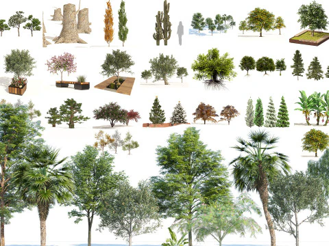 यथार्थवादी वातावरण के लिए मध्यम पॉली पेड़ 3D मॉडल