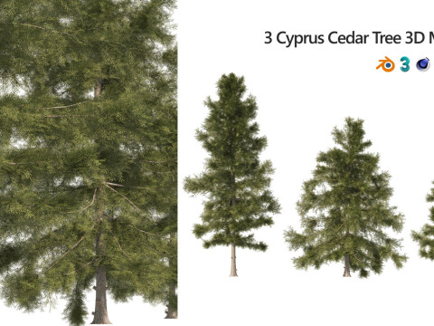 Medium Poly Trees for Realistic Environments 3Dモデル