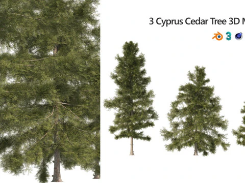 Medium Poly Trees for Realistic Environments 3D Model