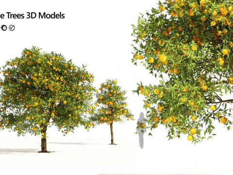 Medium Poly Trees for Realistic Environments 3D Model