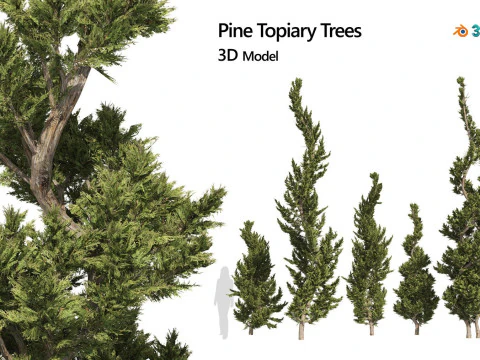 Medium Poly Trees for Realistic Environments 3D Model