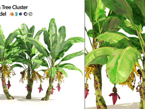 Medium Poly Trees for Realistic Environments 3Dモデル