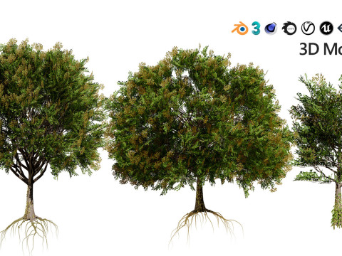 Medium Poly Trees for Realistic Environments 3Dモデル