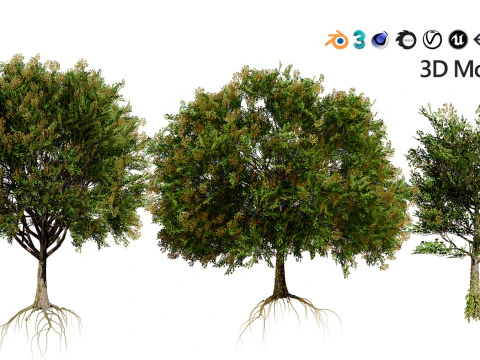Medium Poly Trees for Realistic Environments 3D Model