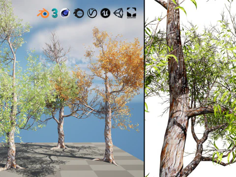 Medium Poly Trees for Realistic Environments 3D Model